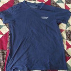rare patagonia fun hogs M slim fit tee tshirt blue made in usa