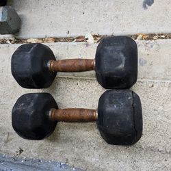 20lbs Dumbbells 