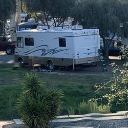 2004 Damien Daybreak