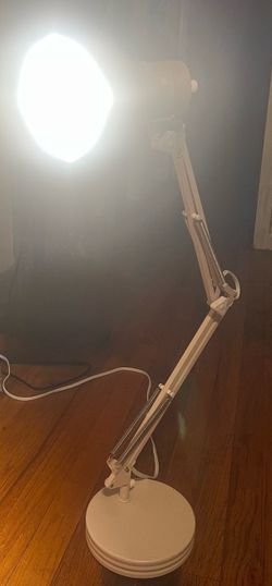 Adjustable Gooseneck Table Lamp.