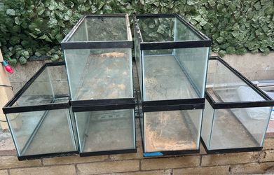 Petco 20 gallon long aquarium fish tank