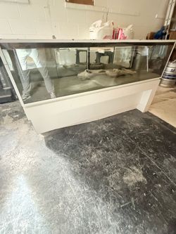 Display case /heavy duty real nice piece