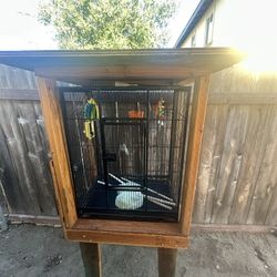 Bird Cage 