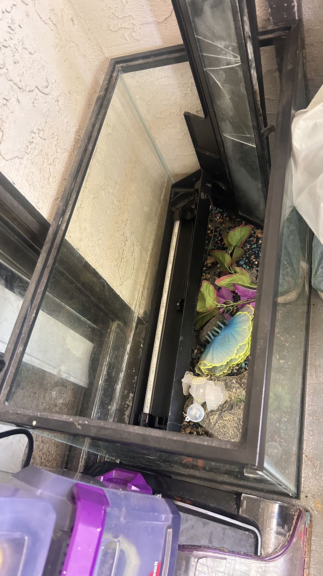 Reptile Tank