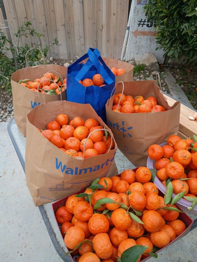 Cuties Just Picked 5.00 A Sack