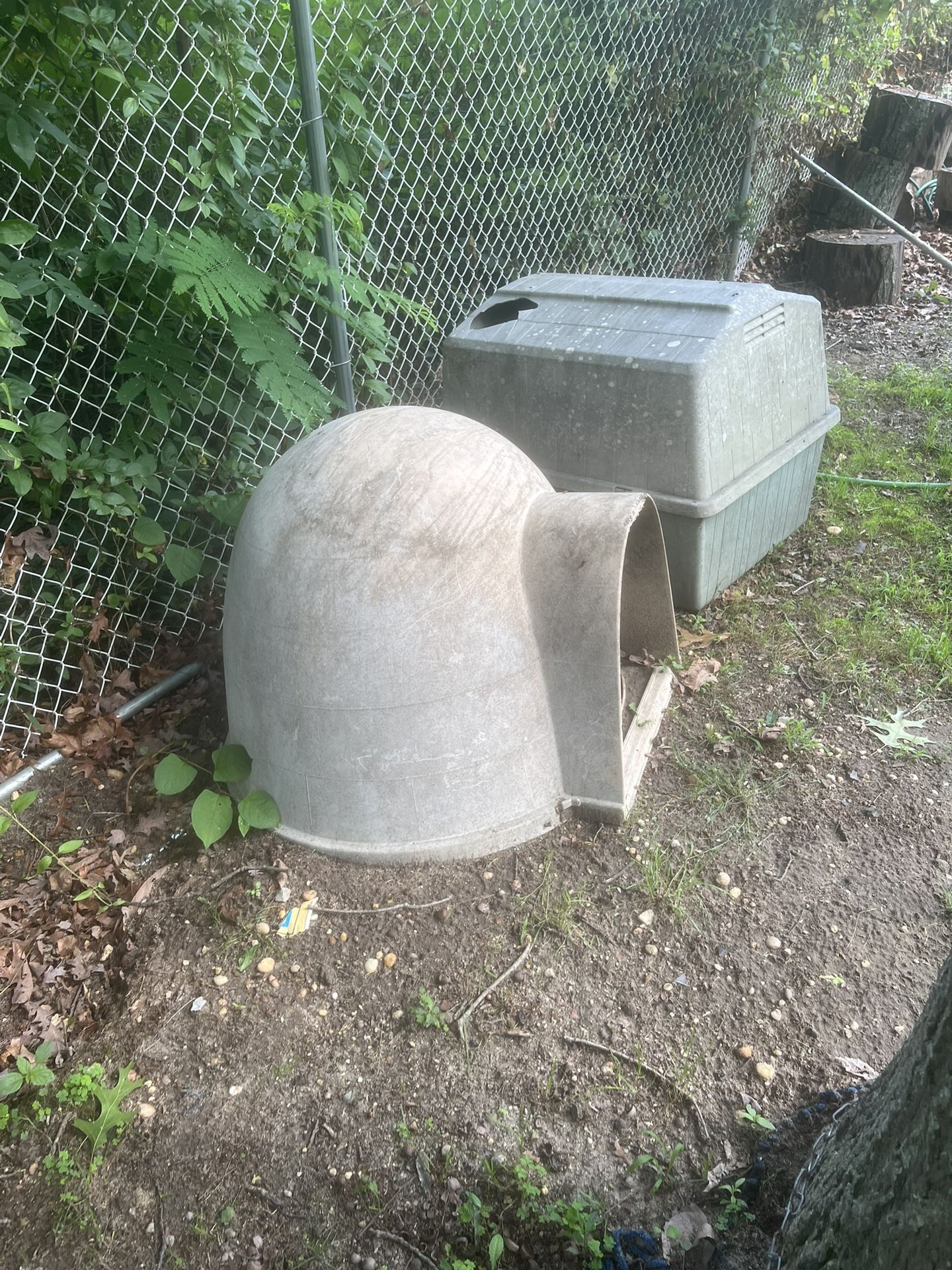 Dog House
