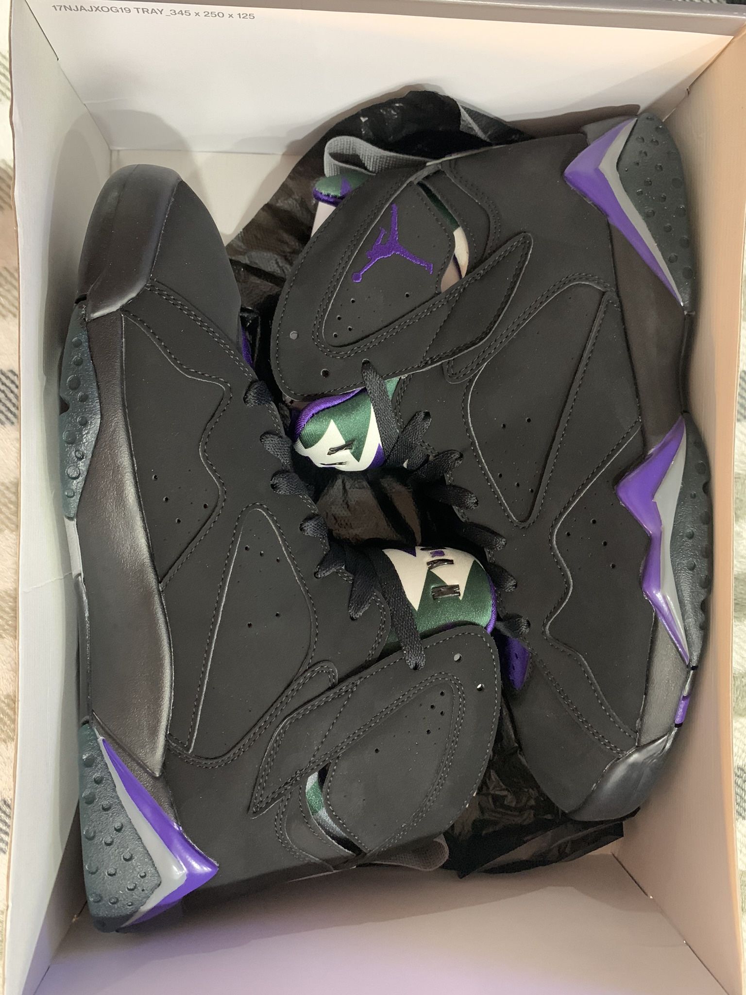 Jordan 7 Ray Allen