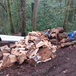 Seasoned Maple Half Cord 150 Deliverd 