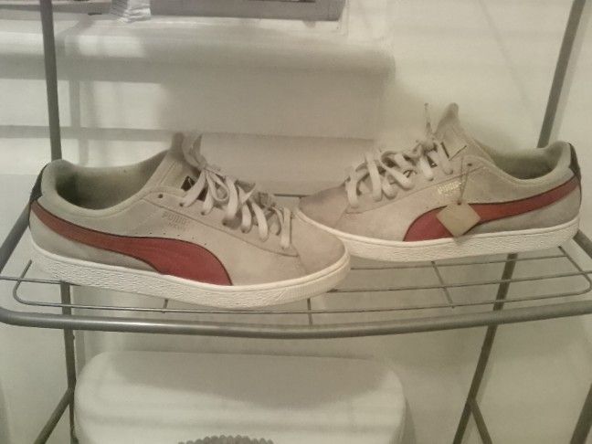 Pumas
