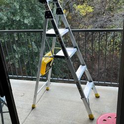 6 Foot Ladder 