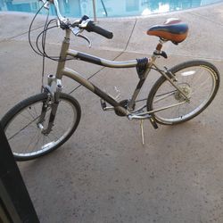 Specialized Expedition Bike