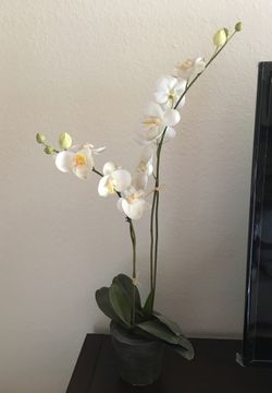 Artificial orchids