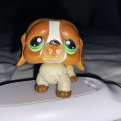 littlest pet shop bulldog 