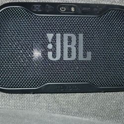 JBL Flex Bluetooth Speaker 