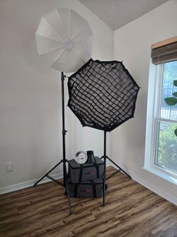 2 bicolor small rig lights with all accessories and tripod and soft boxes.