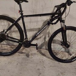 Cannondale Trail