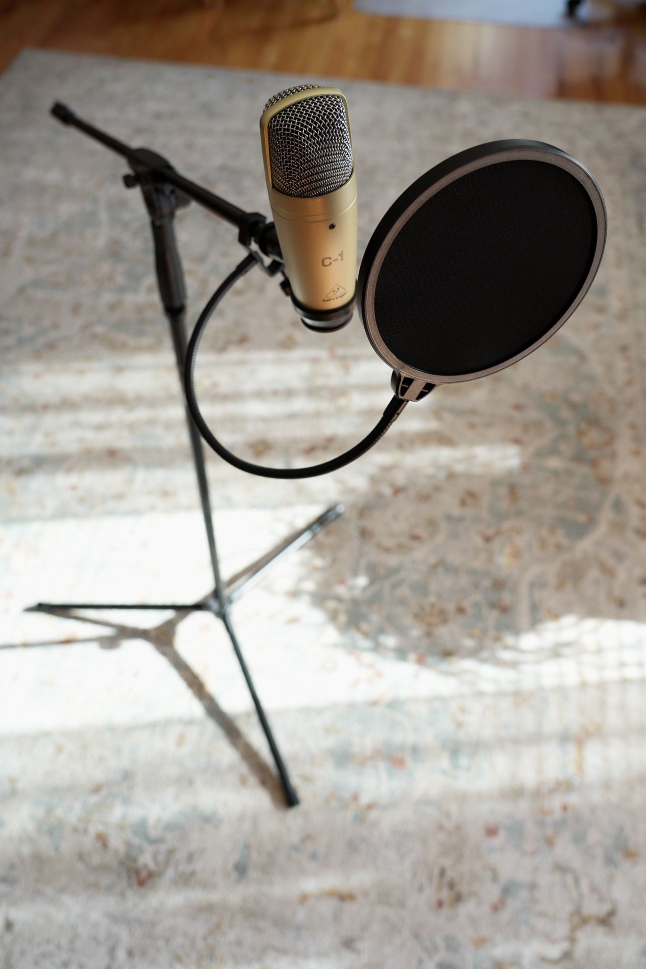Microphone Setup