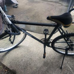Trek Mountain Bike 