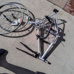 Specialized Allez Elite Road Bike 2005 Bicycle 