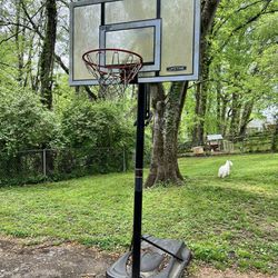 Price Drop! Lifetime Basketball Hoop