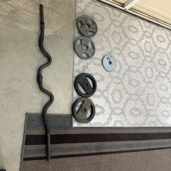 Curl Bar And Weights 