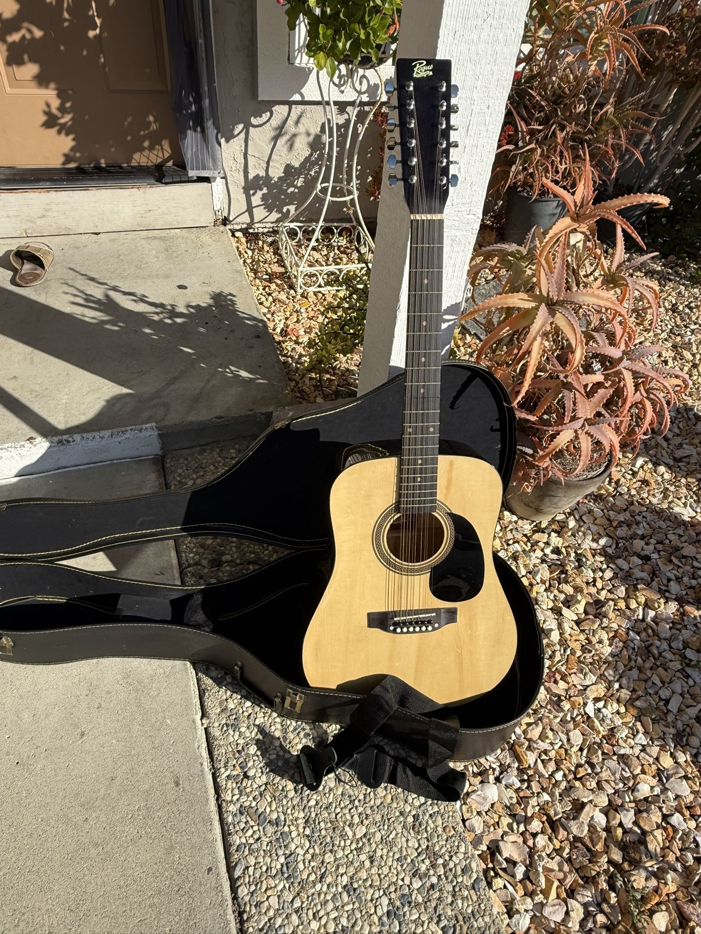 Acoustic Guitar 🎸 12 String 