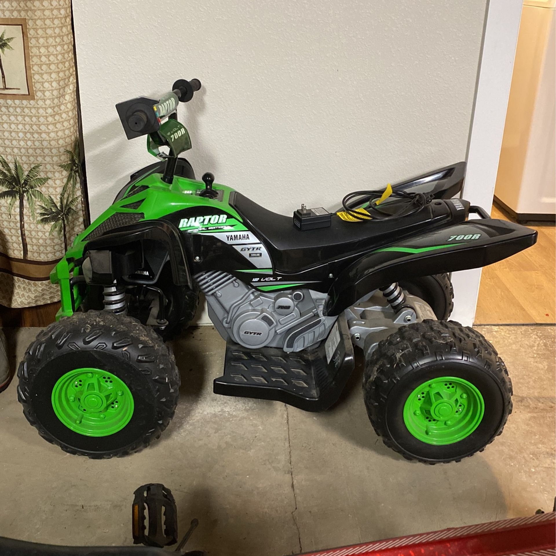 12 Volt Yamaha Raptor