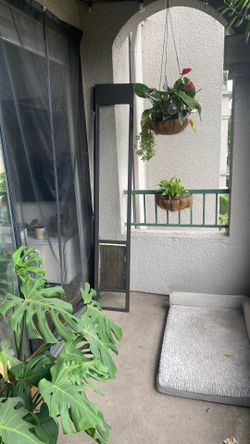 Doggie Door (Large Tall)