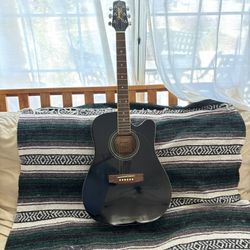 Acoustic/Electric
