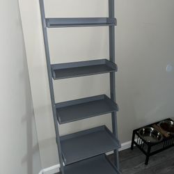 Ladder Shelf