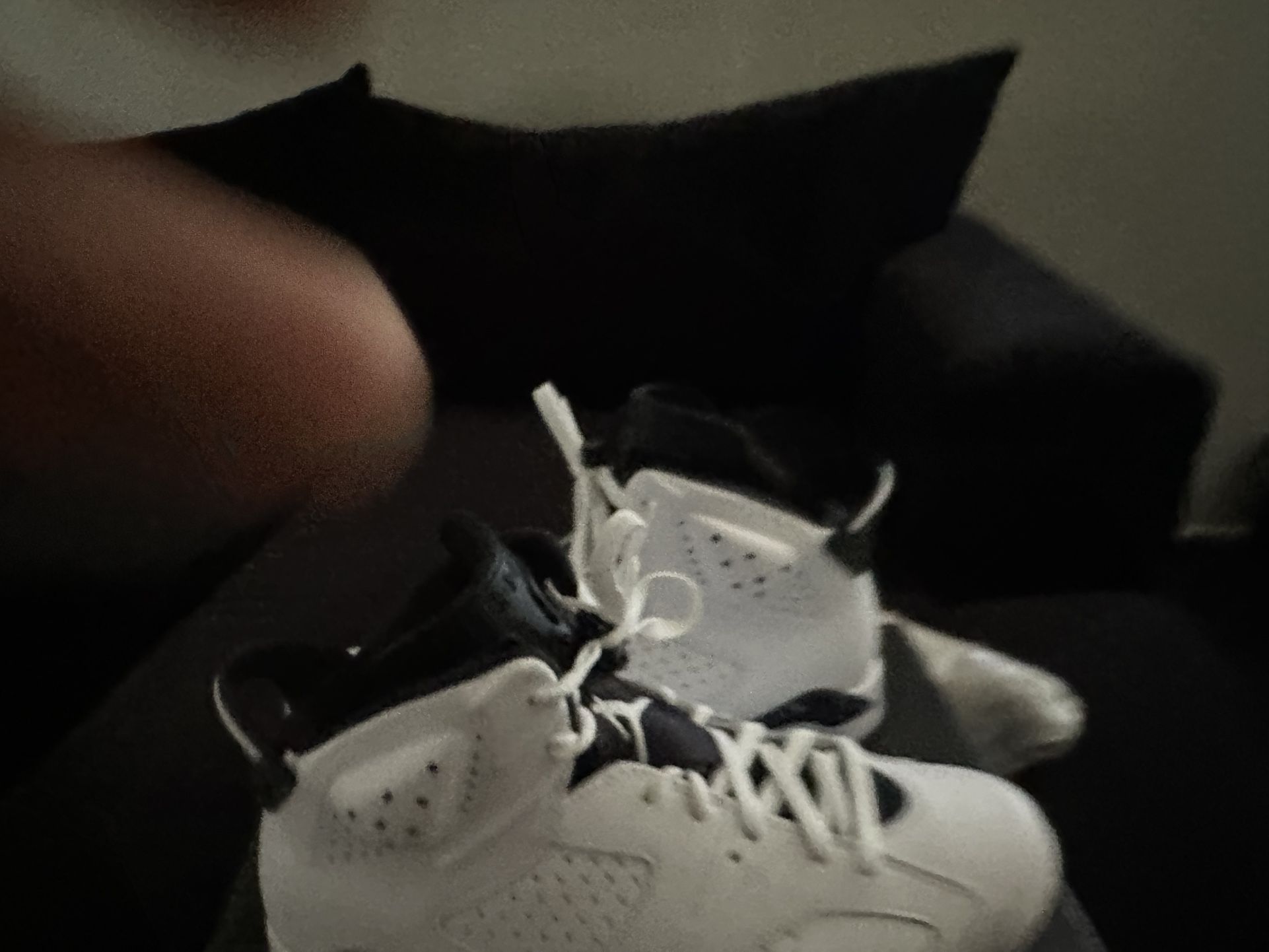 Jordan 6 Oreos