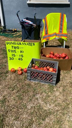 Pomegranates