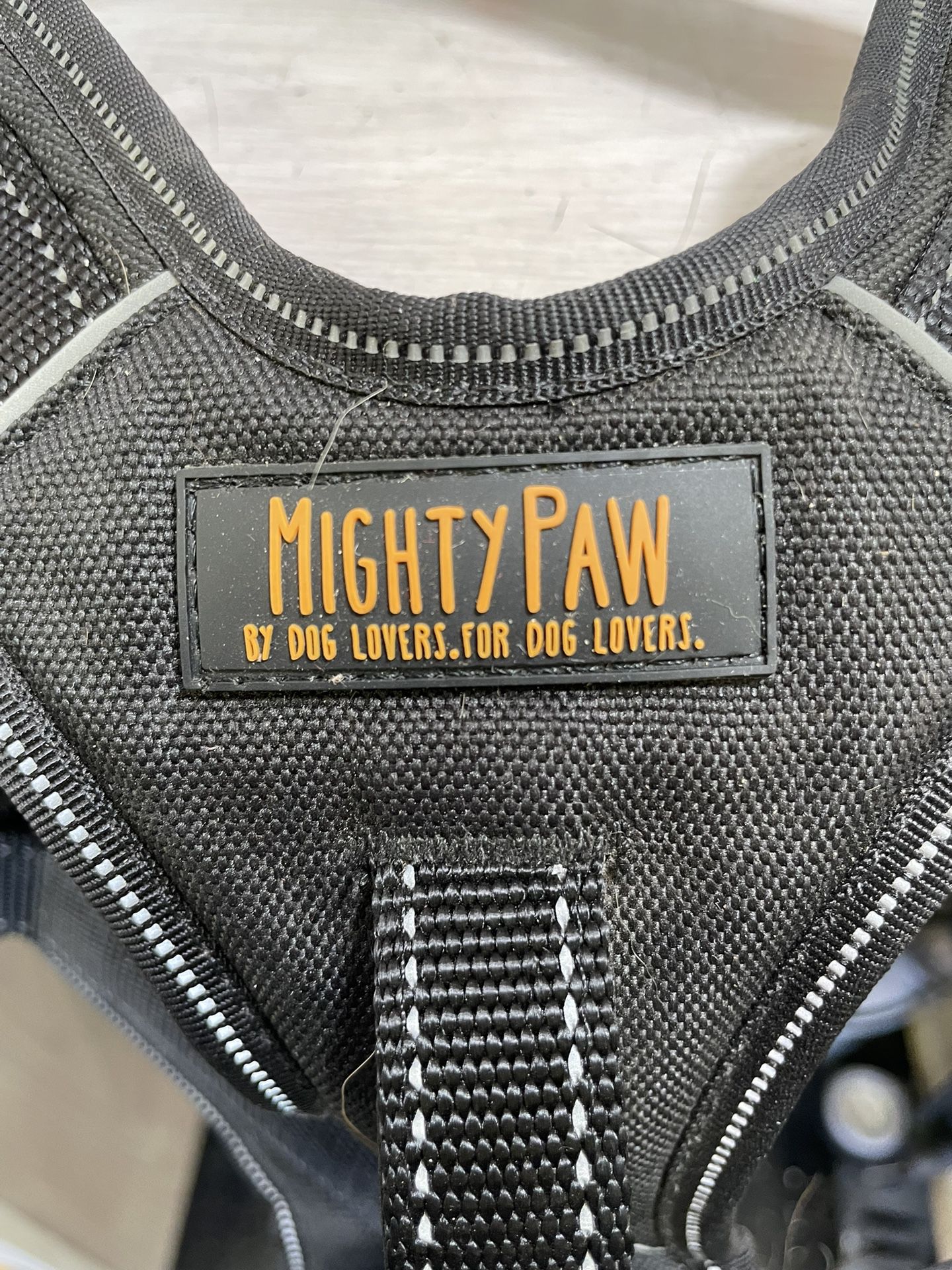 Large, mighty paws, dog harness