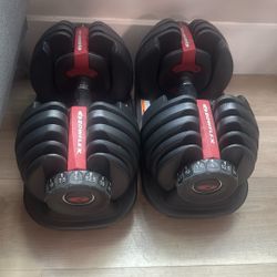 Bowflex Adjustable Dumbbells 