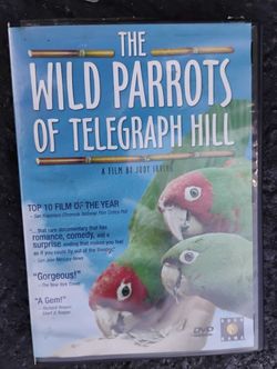 The Wild Parrots Of Telegraph Hill DVD 