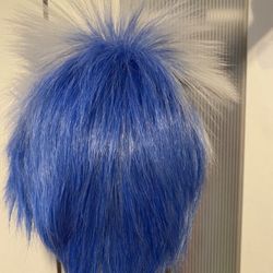 Short Wig