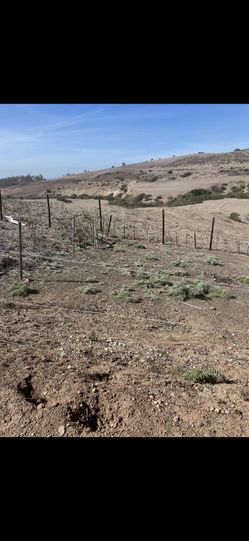 2 Terrenos 10x20 En Rosarito