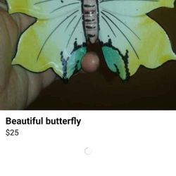 Beautiful Butterfly Portugal 