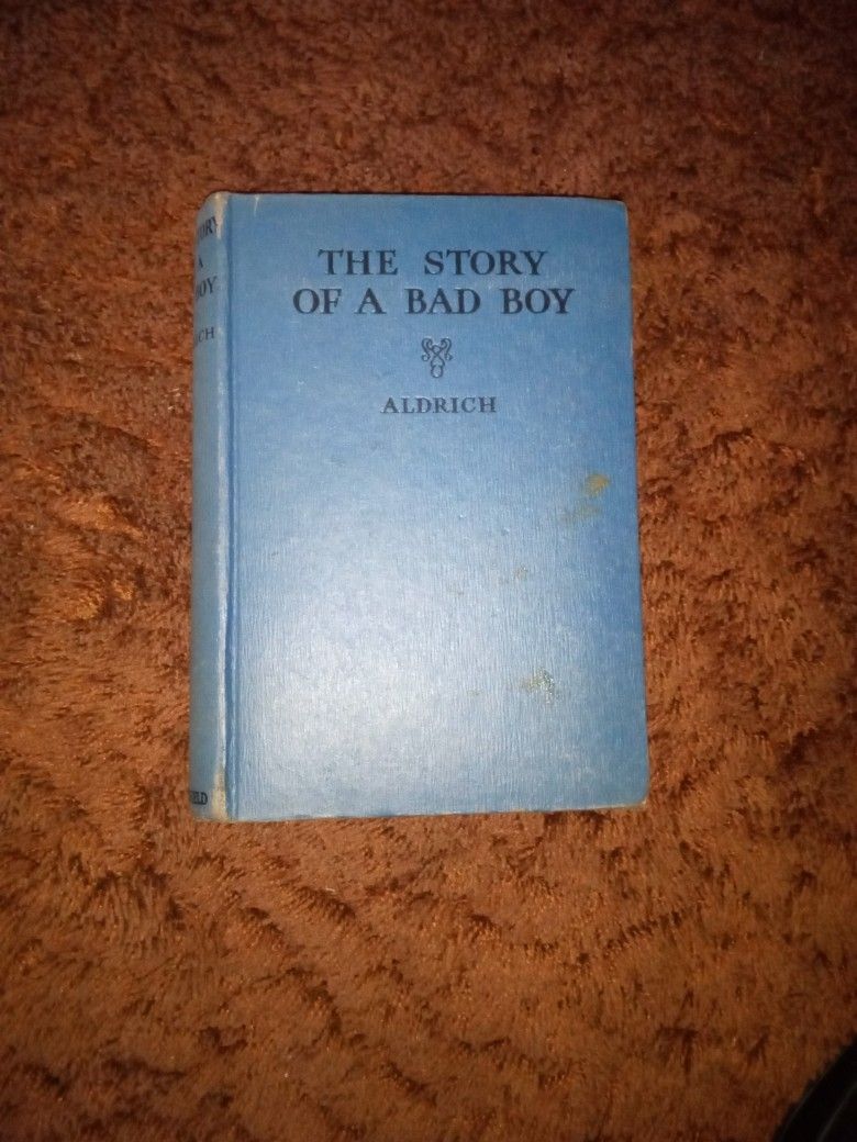 Book The Story Of A Bad Boy