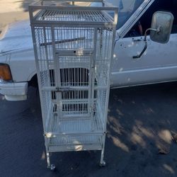 Bird Cage