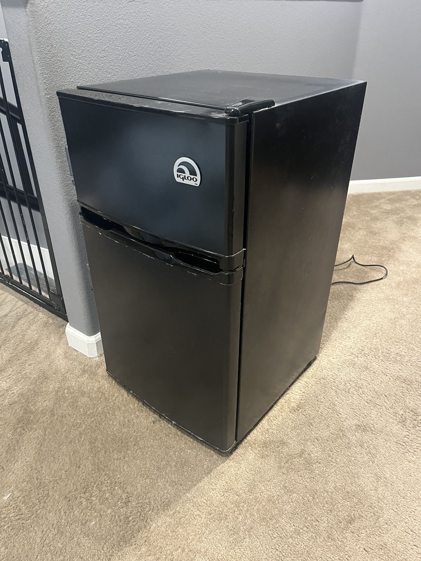 Igloo Mini Fridge