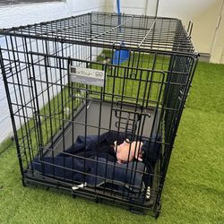 Medium Dog Crate