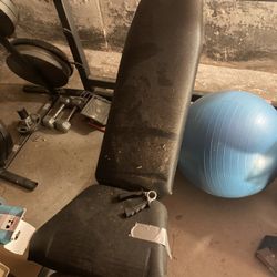 Weights Bench Bar