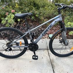 Costic 26” Bike
