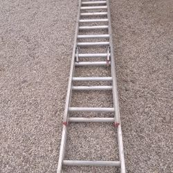 16" Ladder