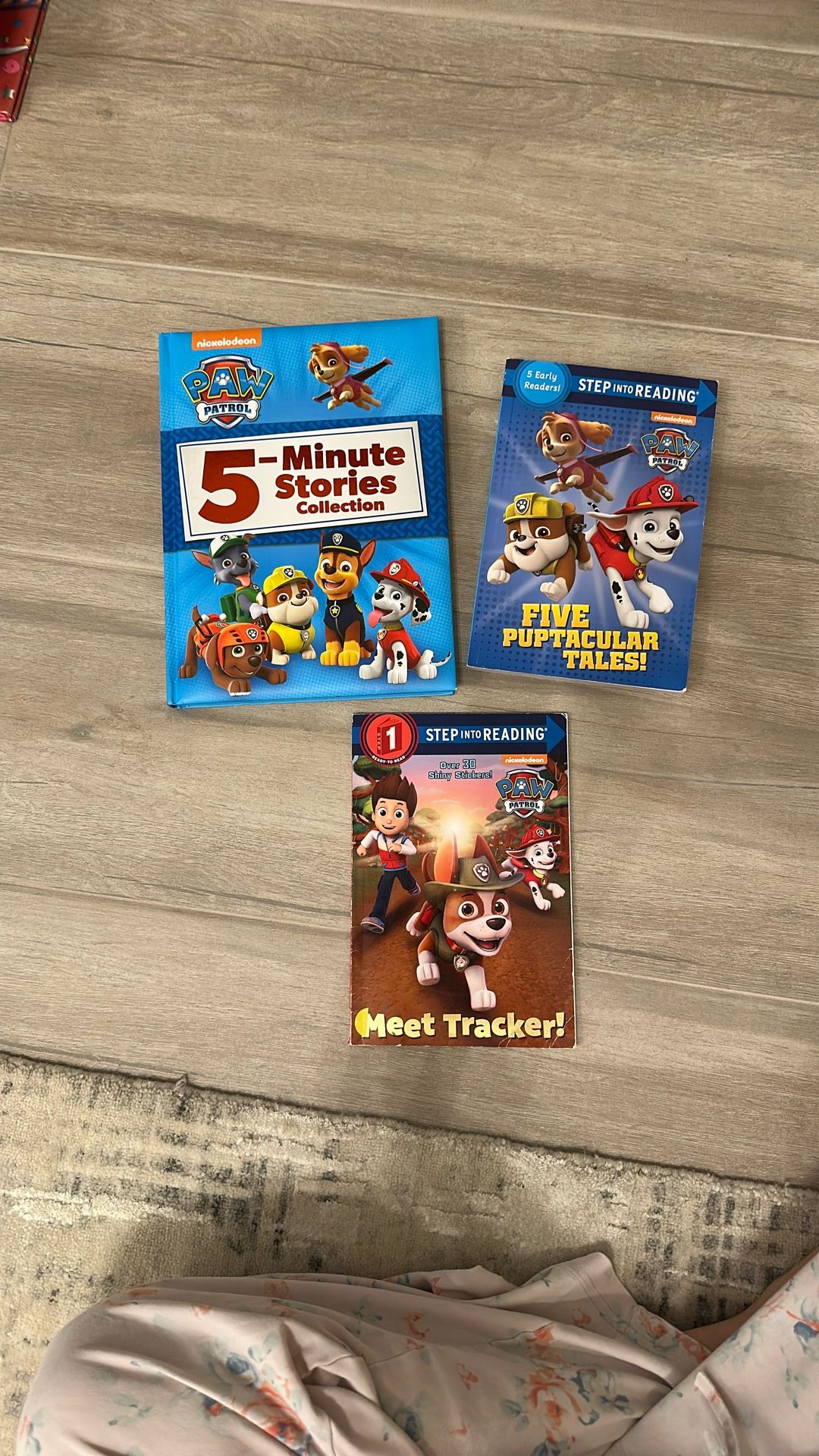 Paw Patrol Books