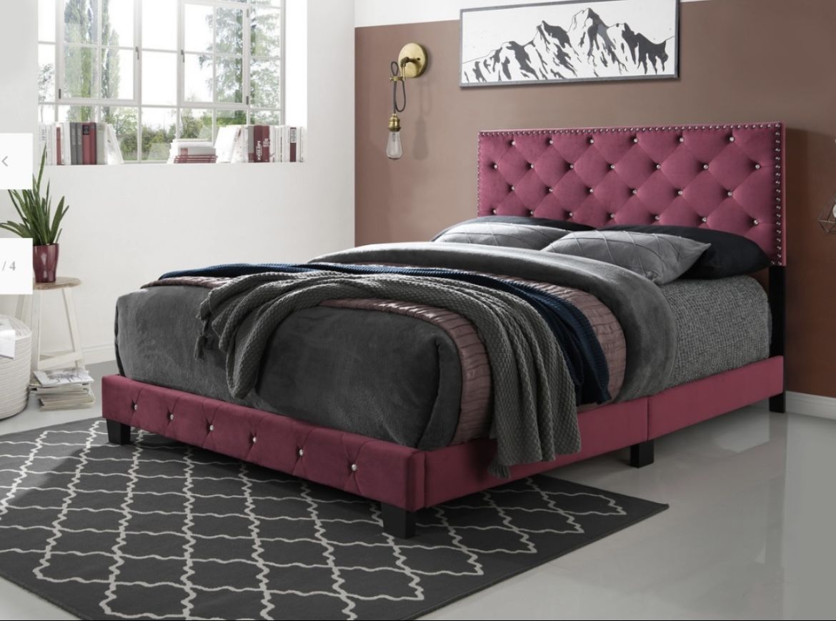 Queen Bedframe