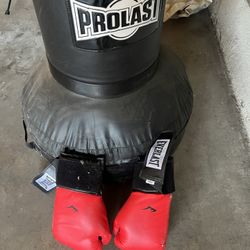 Prolast freestanding speed bag with Everlast gloves for kickboxing / boxing