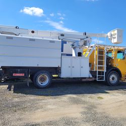 Bucket tree truck with dump  (monster truck)