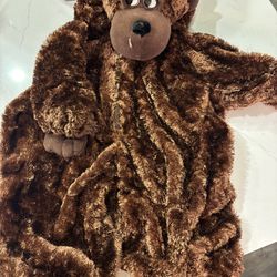 Bear Costume 12-18months
